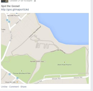 Illustration for article titled Some Crazy Genius Hid a Cat in Google Maps
